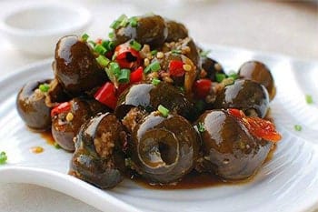 Field Snail
