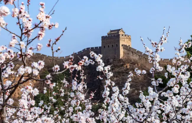 Jinshanling Great Wall Spring - China Xian Tour: Private & Tailor-Made China Tours Jinshanling Great Wall Spring