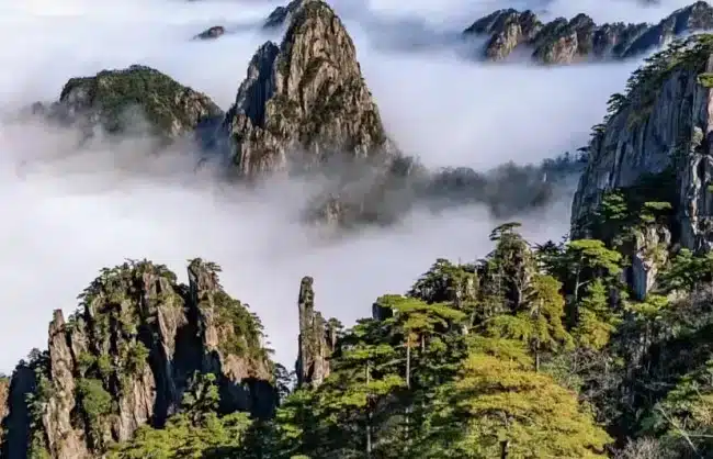 Mount Huangshan - China Xian Tour: Private & Tailor-Made China Tours Mount Huangshan