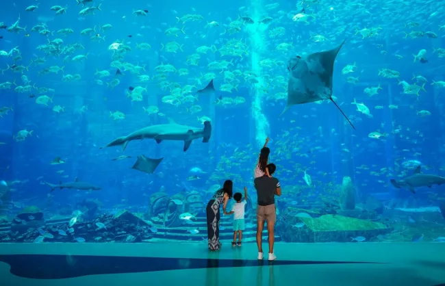 Sanya Atlantis - China Xian Tour: Private & Tailor-Made China Tours Sanya Atlantis