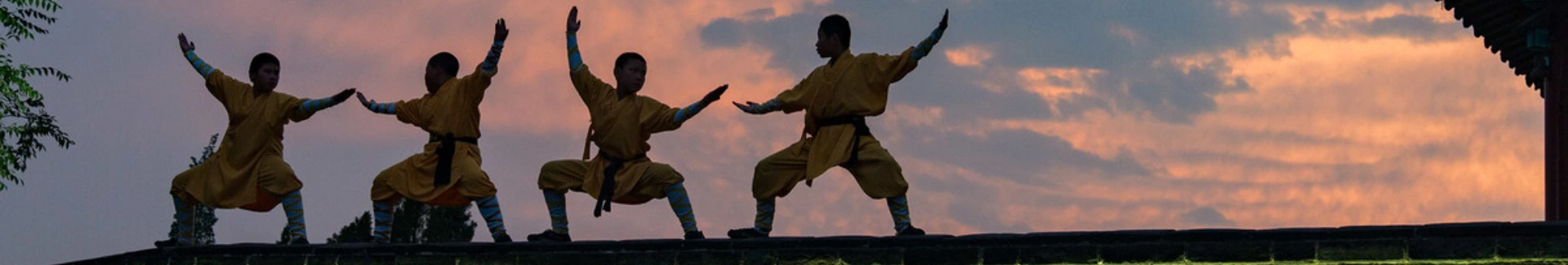 Shaolin Kung Fu head