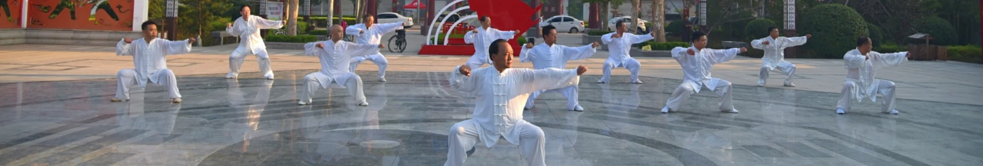 Tai Chi Class head